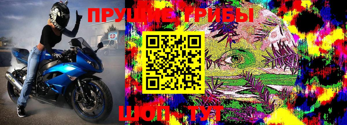 Псилоцибиновые грибы Cubensis  Вход с VPN  Донской 