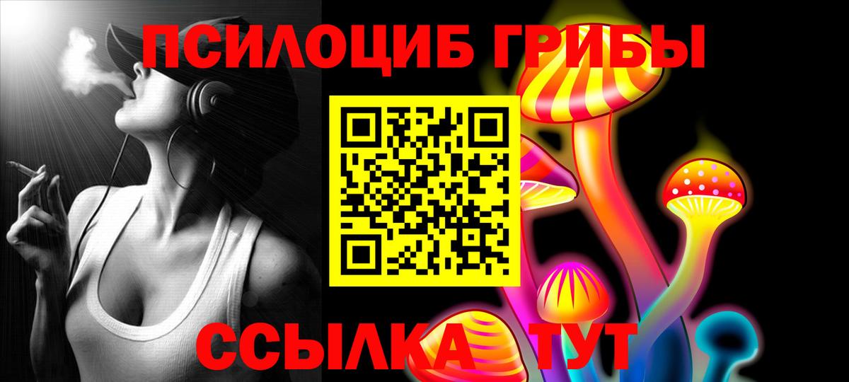 Галлюциногенные грибы Psilocybine cubensis Донской